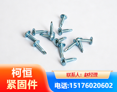 三亚华司钻尾丝