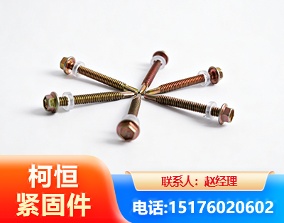 三亚六角钻尾丝