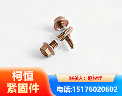 三亚六角钻尾丝
